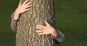 הרב לייטמן - אישה מחבקת עץ בשדה