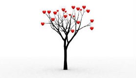 הרב לייטמן - עץ עם לבבות