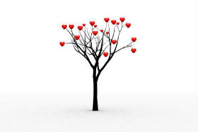הרב לייטמן - עץ עם לבבות