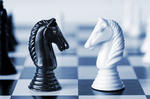 הרב לייטמן - שחור ולבן שחמט סוס