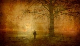 מיכאל לייטמן - יער איש עץ בודד