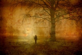 מיכאל לייטמן - יער איש עץ בודד